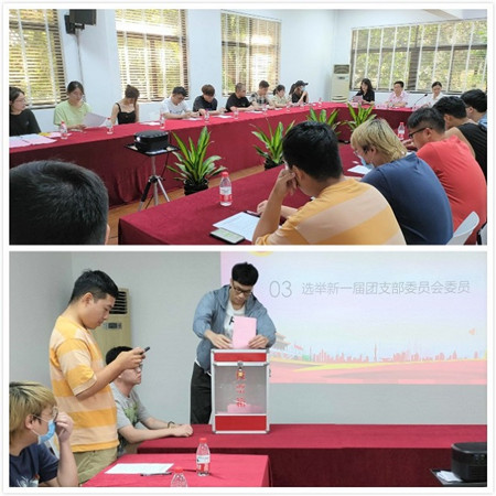 04 选举投票_副本.jpg